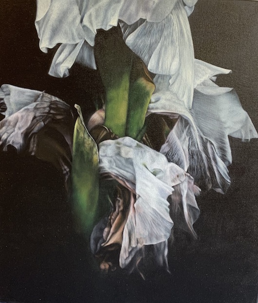 Mary Mulholland| Enclosed in Light  |McAtamney Gallery and Designs Store | Geraldine NZ